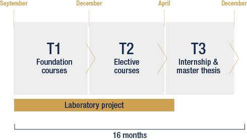 Year calender in trimester